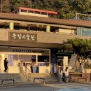 천안삼거리(서울) | 천안삼거리휴게소 상행 (서울방향) 호두과자 후기