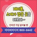 주식회사 삼성아이비
