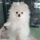 숙이네간식