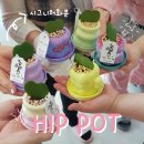 포항시북구88 | 포항 힙팟 플렌테리어 출강 클래스｜JK한방병원 3회차 힐링 화분 만들기 수업 후기