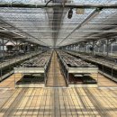 지양농장 이미지