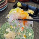 유천택지내 선수촌로 | 강릉맛집추천 아라아라 회전초밥 2500원 가성비 좋은 균일가 초밥맛집