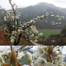 청우농장 이미지