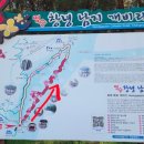 죽림2로가로수 네이버블로그