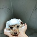 오늘의개스트 이미지