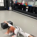 용인대 태권마루 태권도장 이미지