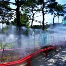 서리풀문화광장1 이미지