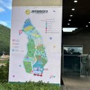 포라플