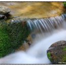 용담1리 이미지