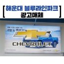국제와이드칼라