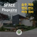 밴드에코 이미지