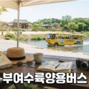 BHC부여점 | BHC 신메뉴 커링클 내돈내산 맛 평가와 미니언즈 이벤트 총정리