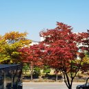 힐링타임 통기타 이미지