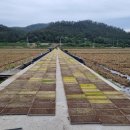 새싹2호농장 이미지