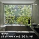 스테이B | 국내 여름 휴양지 경북 영덕 자쿠지 감성 숙소 테라키아 스테이B 후기
