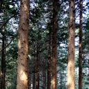 웅산건설 이미지