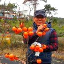 양평흑염소농장 이미지