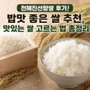 진선 | 천혜진선향쌀 후기! 밥맛 좋은 쌀 추천, 맛있는 쌀 고르는 법 총정리