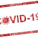 메디노크 이미지