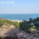 선트리레스토랑 네이버블로그