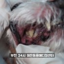 해든덴탈 이미지