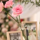 호텔 PJ | [잘앤제니뜨] PJ호텔 연계 본식스냅 후기 (+사진첨부, 셀렉후기)