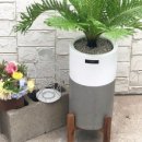 경산꽃집 이미지