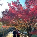 주말공원 | 창원 단풍명소 진해 내수면환경생태공원 주말 주차 방문 후기