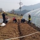 내린천 주말농장 이미지