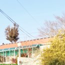 남해군남면보건지소 | 남해바래길(테마코스) 남면 만수무강 마을바래길(26.1.29)