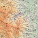 소나무 전경 이미지