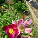 옥주농장 이미지