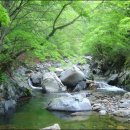 항골계곡 이미지