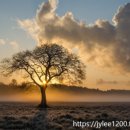 나의 이야기 나의 수필 이미지