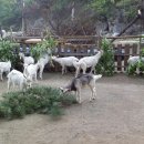 대굴령마을 이미지