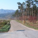 월영마을로 이미지