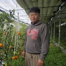 김규현농장 이미지