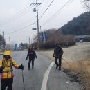 태청산 편백나무숲 트레킹길 이미지