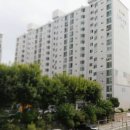 중계3단지목련아파트 이미지