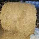 영주볏짚 이미지