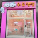위드댕댕 | 위드댕댕(향남점) 애견미용은 받아 봤어도 사진인화 서비스는 처음..!
