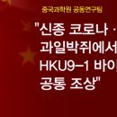 우한판 이미지