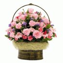 신사1-014 이미지