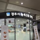 경주 포항 기념품 추천 및 무궁화열차 이동 후기 (feat. 경주역 황남빵 &amp; 포항역 꼬아메기빵)