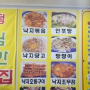 낙지대통령 이미지