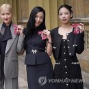 대영세탁 이미지