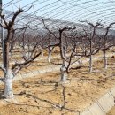 여순농장 이미지