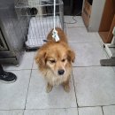 청림동물병원 이미지