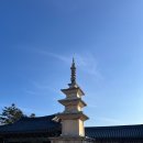 불국사초등학교 | 경주여행 코스 추천 불국사, 석굴암, 스타벅스, 오륙돈