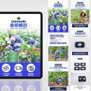 하늘녘싱싱팜 이미지